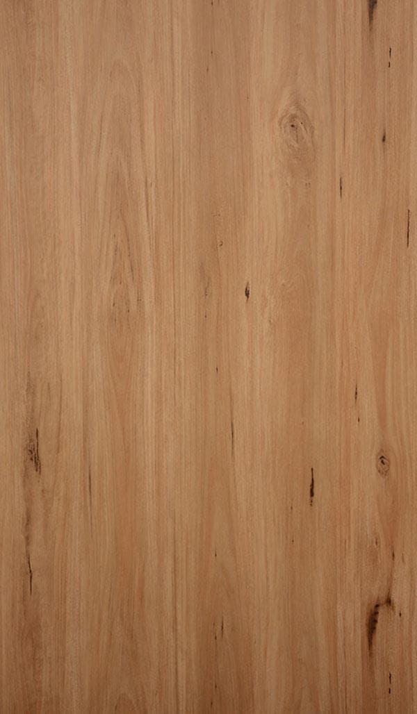 Coastal Blackbutt