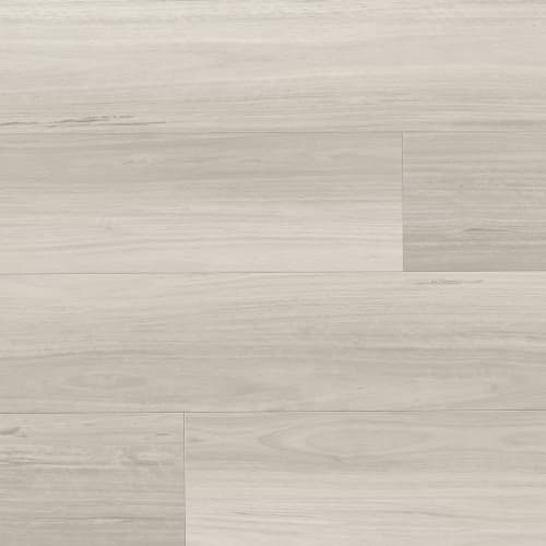 Dapple Grey