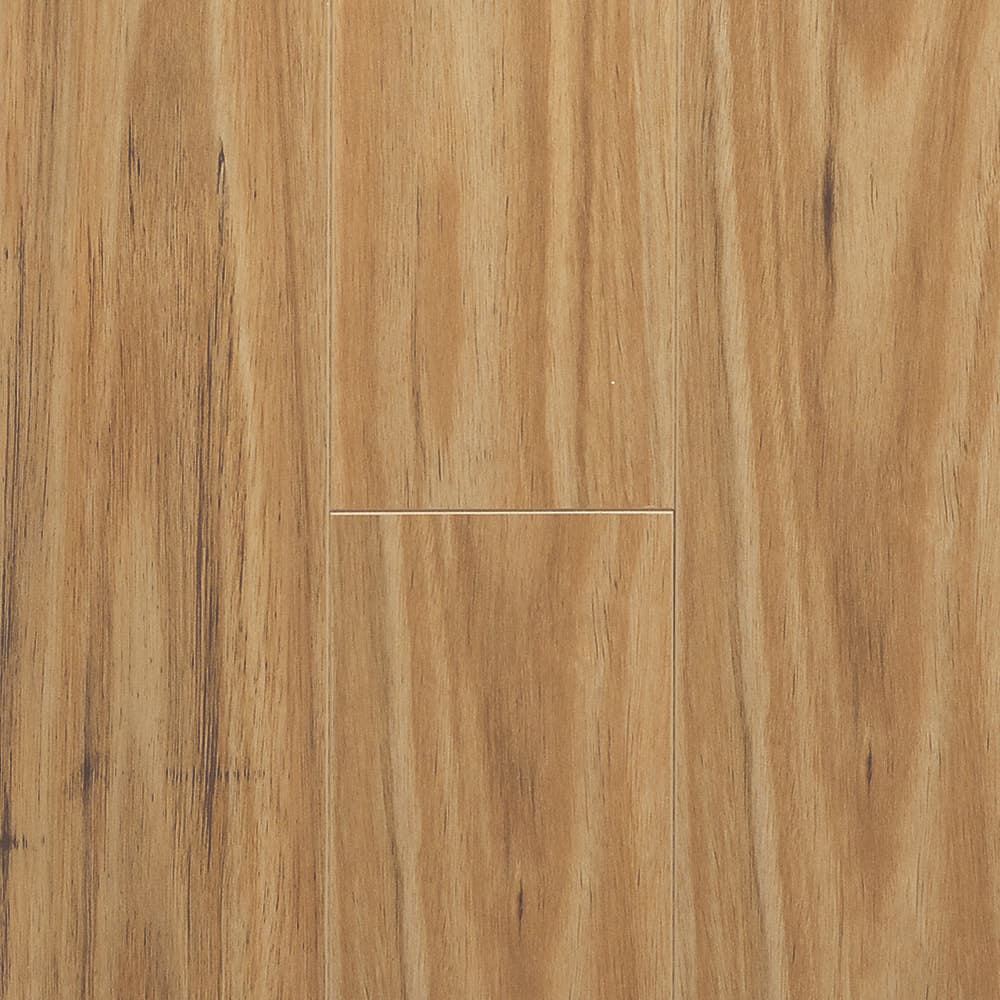 Blackbutt