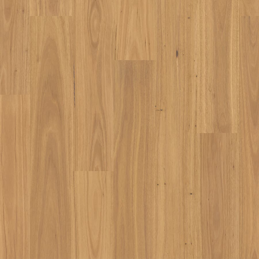 Pure Blackbutt