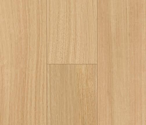 Blackbutt
