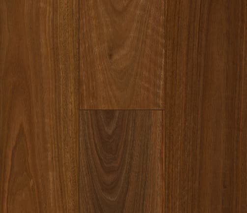 QLD Spotted Gum