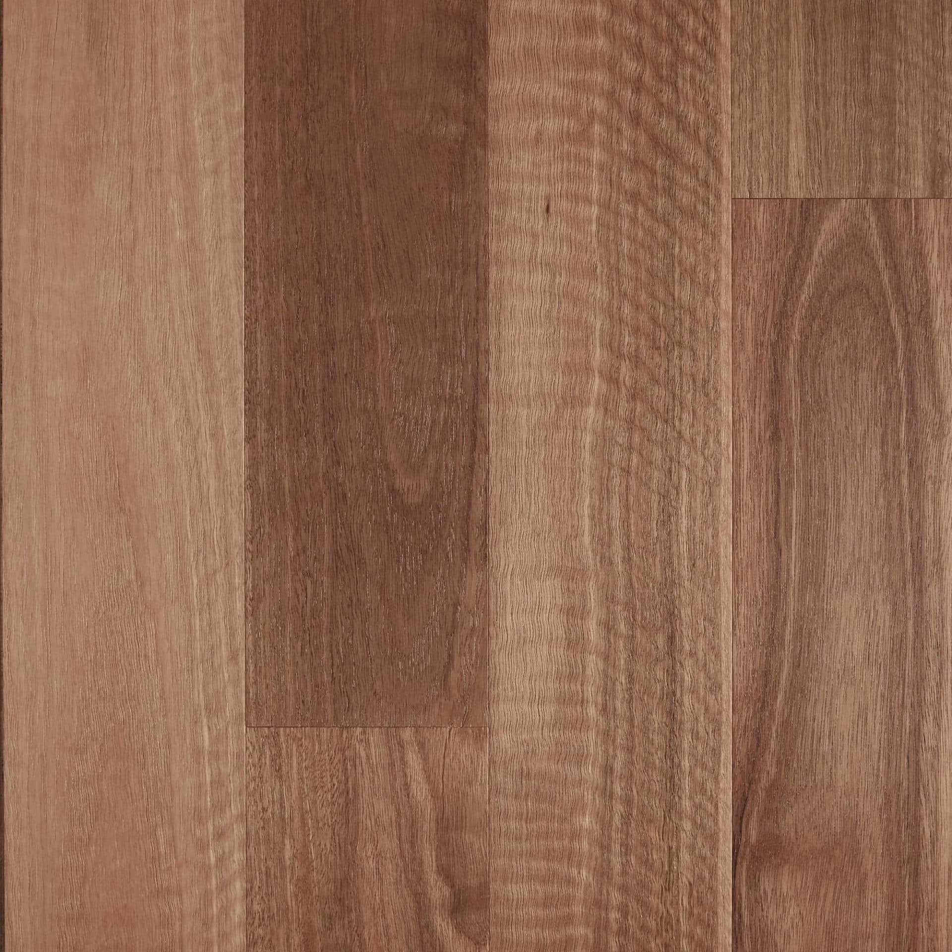 Spotted Gum