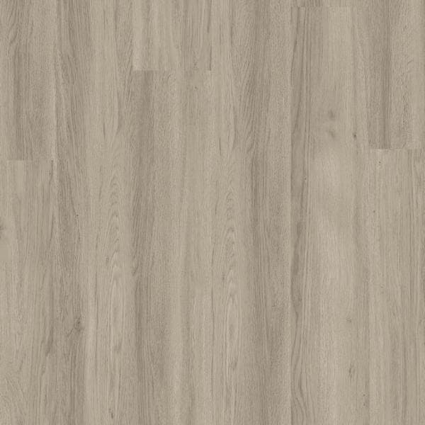 Silver Grey Ash