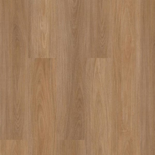 Tidal Blackbutt