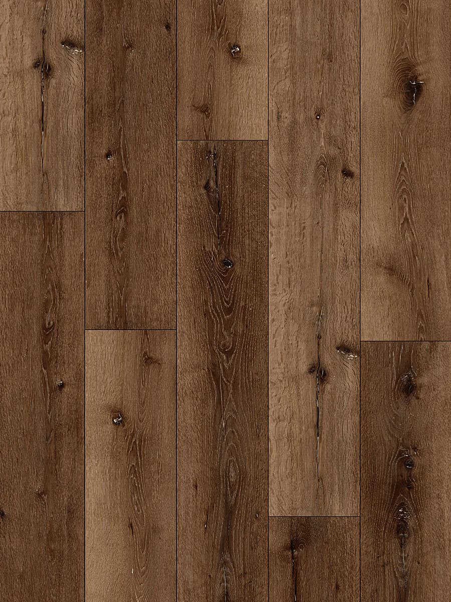 Alpine Oak
