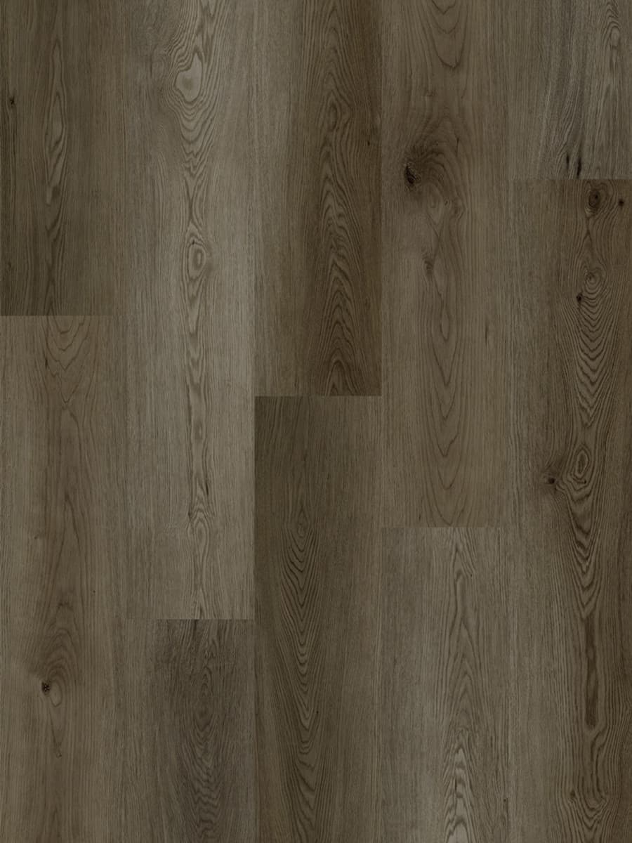 Black Forest Oak