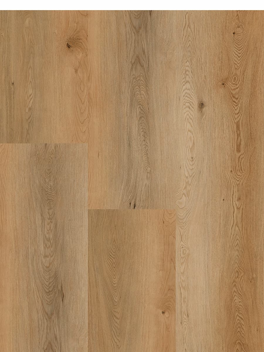 Oak Saffron