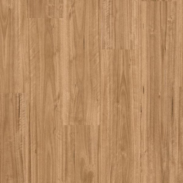 Urban Blackbutt