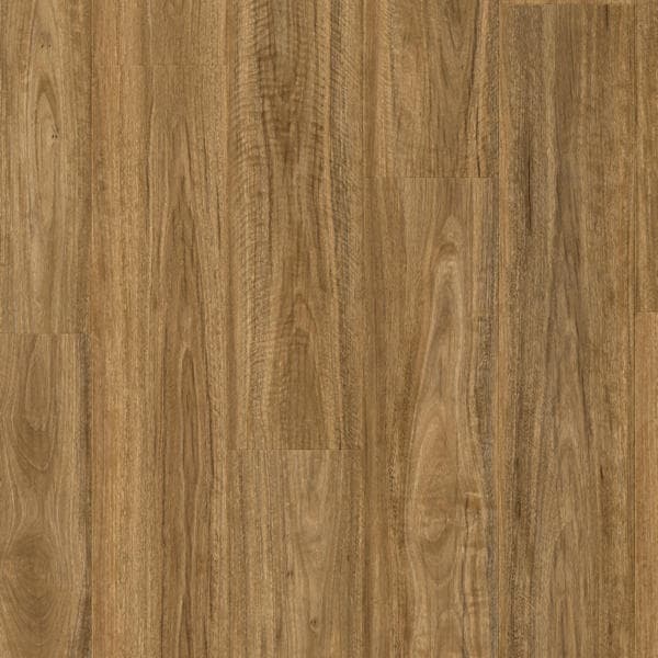 Wild Spotted Gum