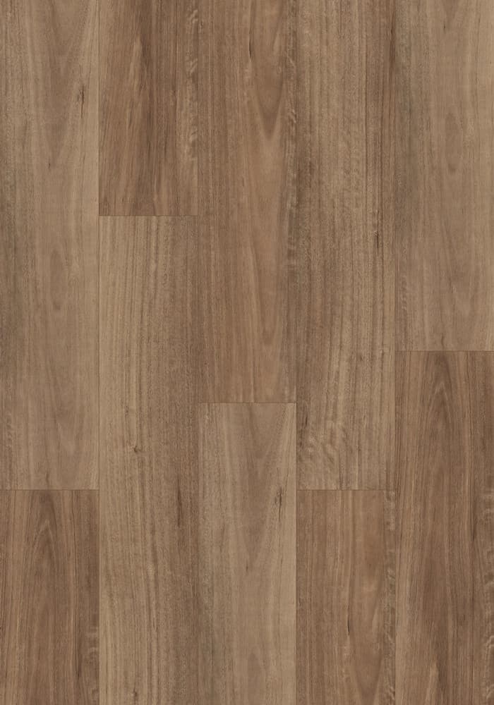 NSW Spotted Gum