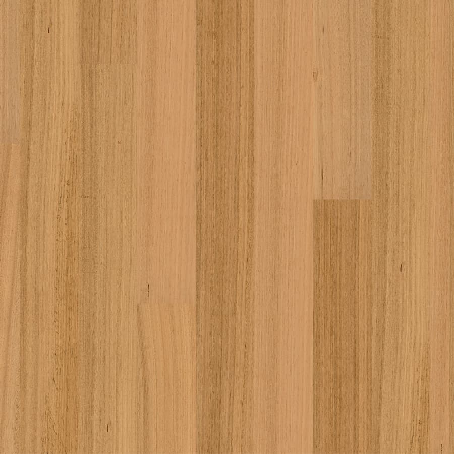 Tasmanian Oak Matt Brushed