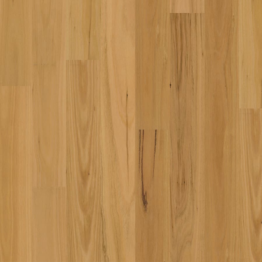 Blackbutt Matt Brushed