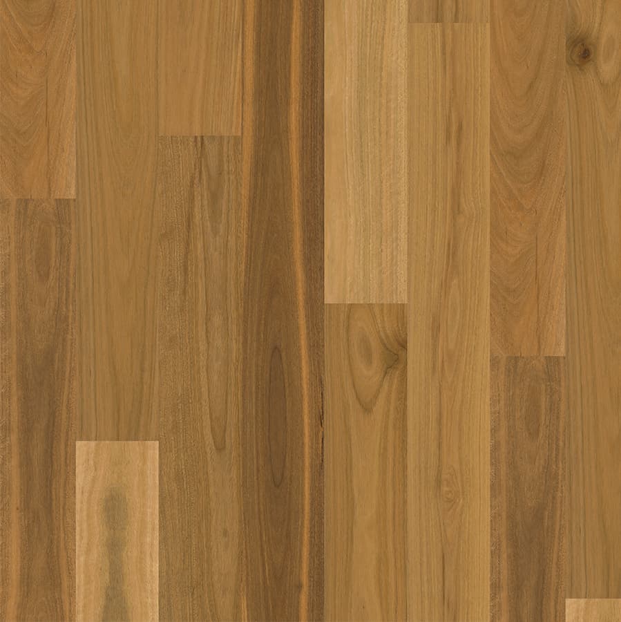 Spotted Gum Matt Brushed