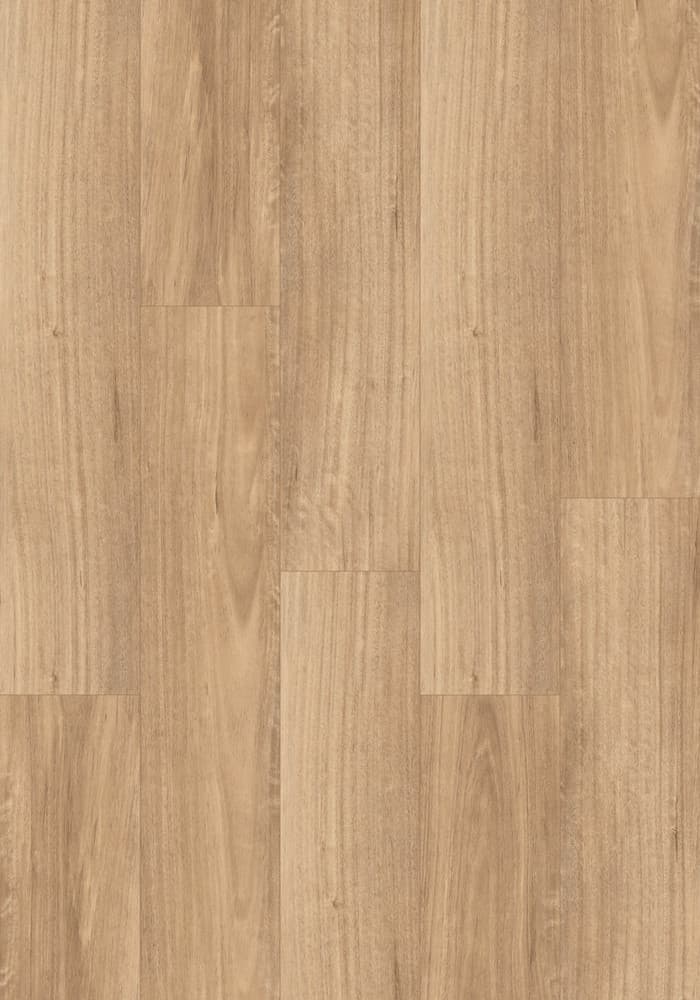 Spotted Gum Light