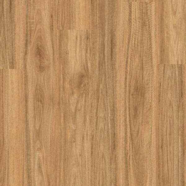 Stonewashed Spotted Gum