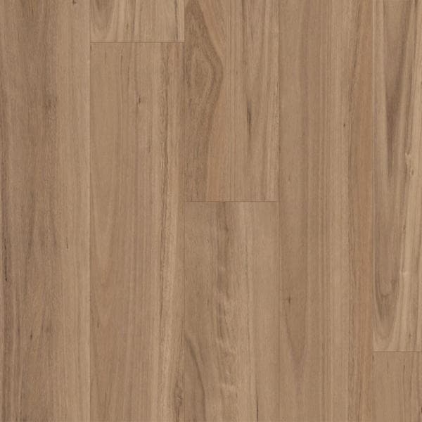 Blackbutt Select