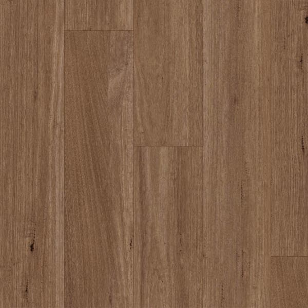 Spotted Gum