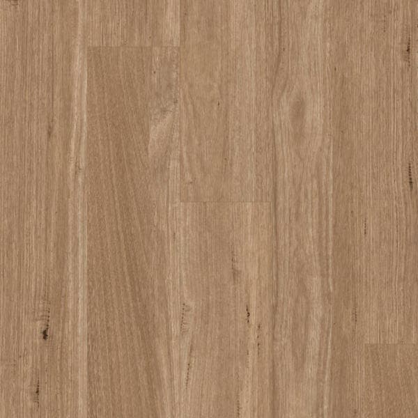 Tasmanian Oak