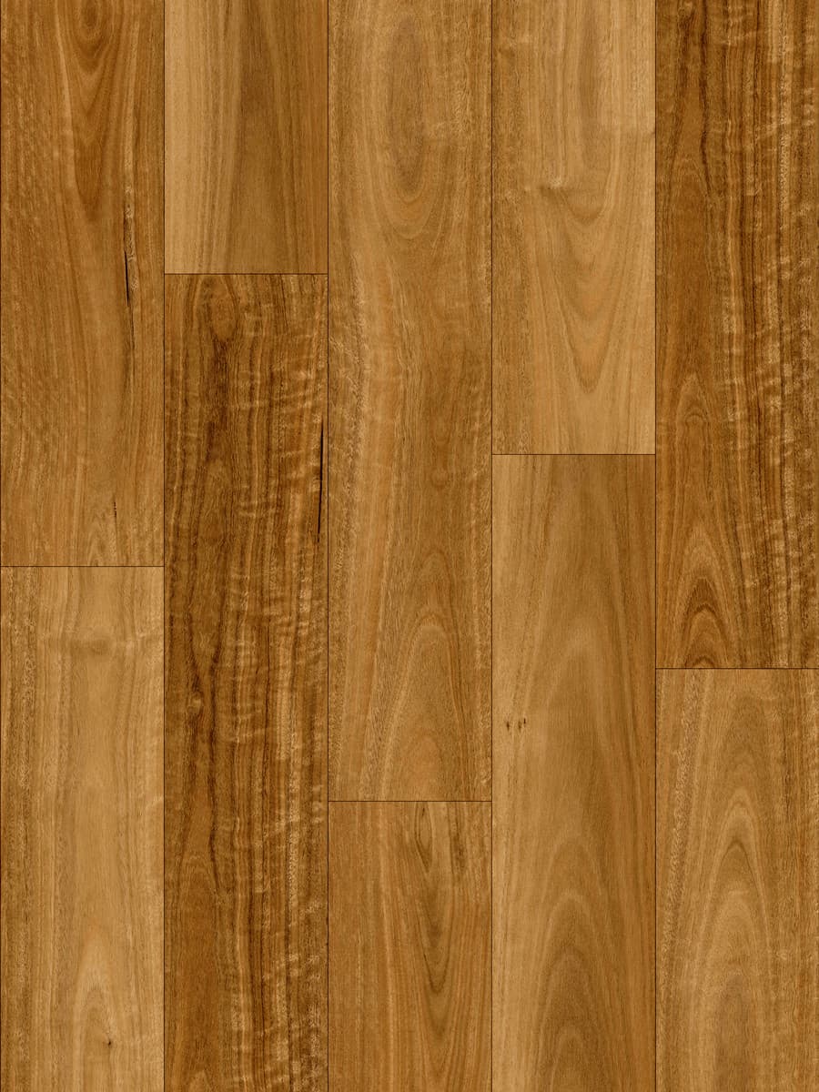 Murray River Spotted Gum