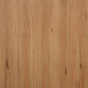 Coastal Blackbutt