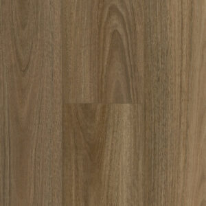 Spotted Gum