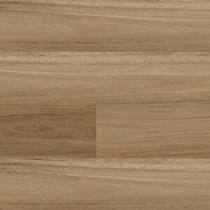 Northern Blackbutt