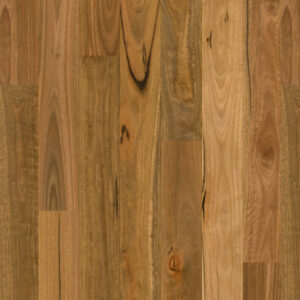 Spotted Gum