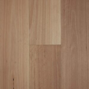 Standard Blackbutt