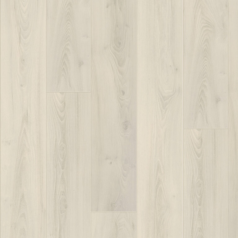 Magnolia Elm