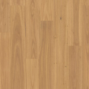 Pure Blackbutt