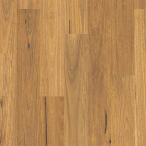 Pure Spotted Gum