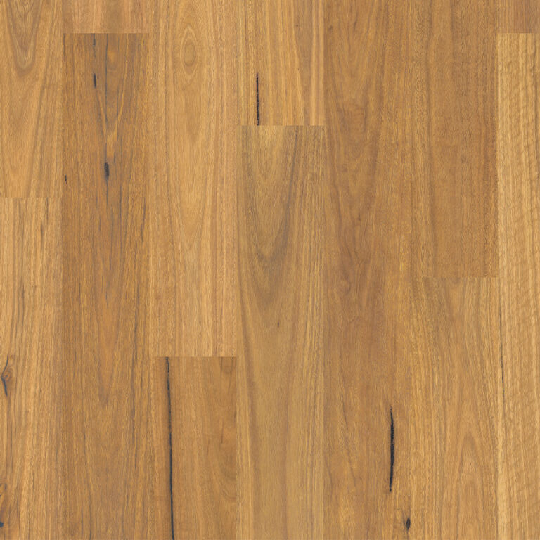 Pure Spotted Gum