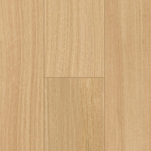 Blackbutt
