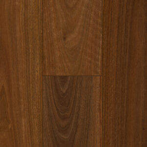 QLD Spotted Gum