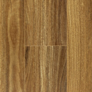 NSW Spotted Gum