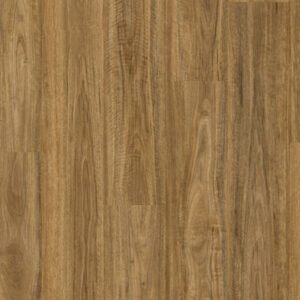 Wild Spotted Gum
