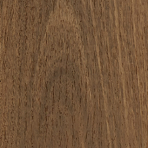 SOUTHERN SPOTTED GUM