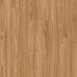 Blackbutt