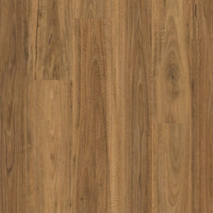 Spotted Gum