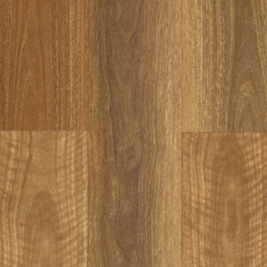 NSW Spotted Gum