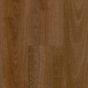 Spotted Gum