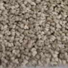 Stone Beige