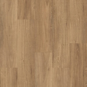 QLD Spotted Gum