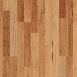 Blackbutt