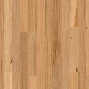 Tasmanian Oak