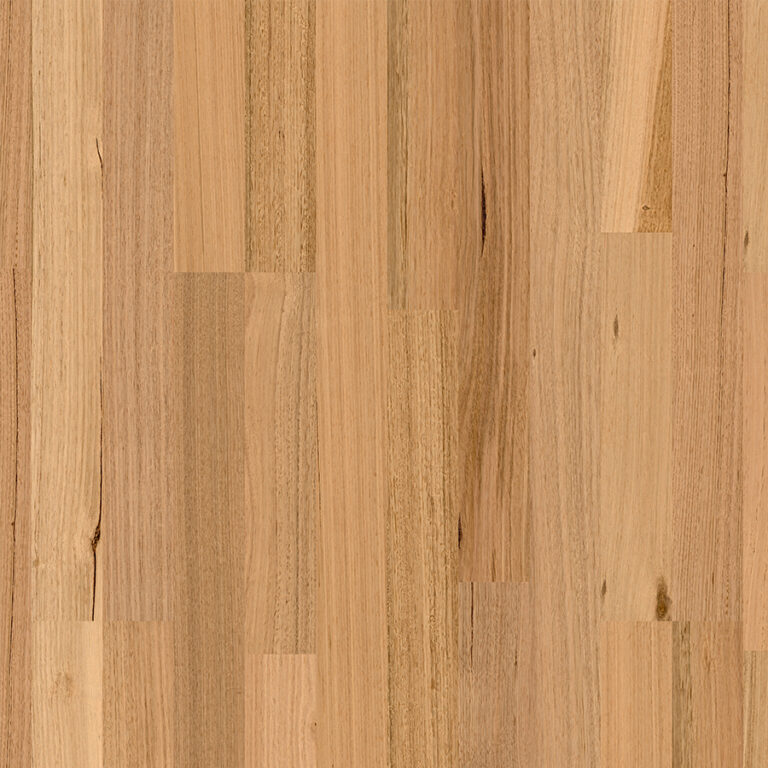 Tasmanian Oak