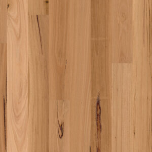 Blackbutt