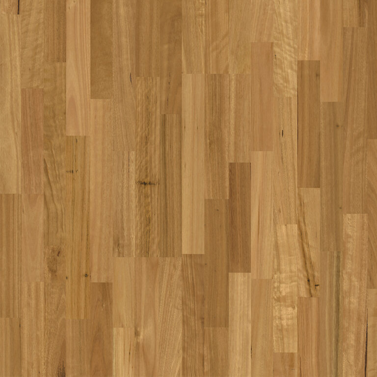 Blackbutt