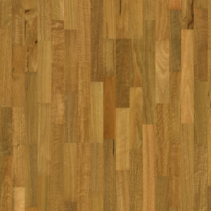 Spotted Gum